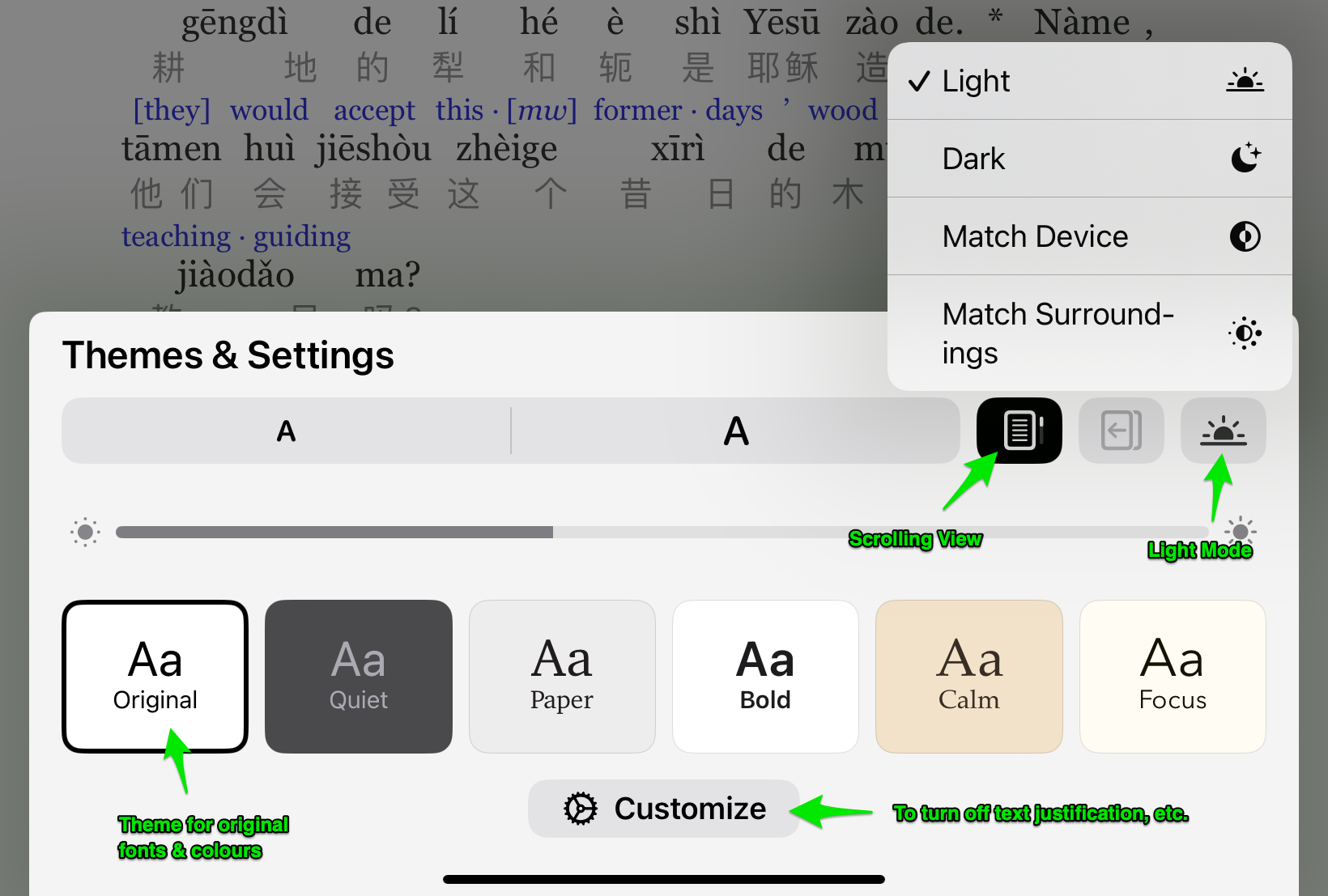 Apple Book Themes & Settings main interface