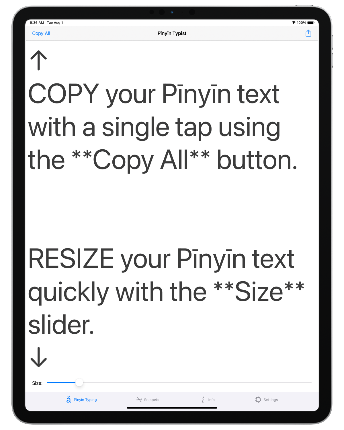 Screenshot: iPad; Copy All button; Size: slider; System (San Francisco) font