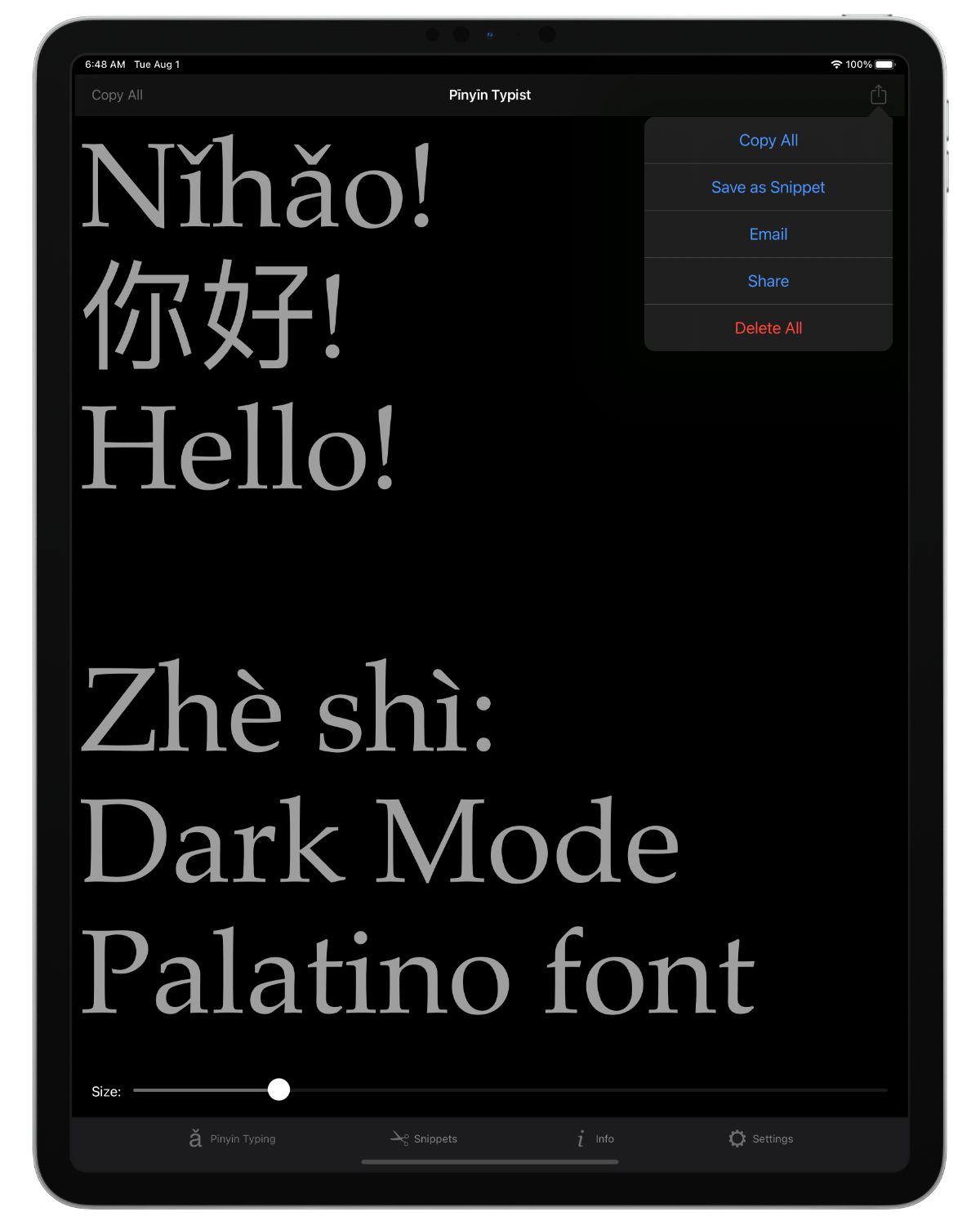 Screenshot: iPad; “Nǐhǎo” in Pīnyīn, characters, and English; Pīnyīn Typing tab view menu; Dark Mode; Palatino font