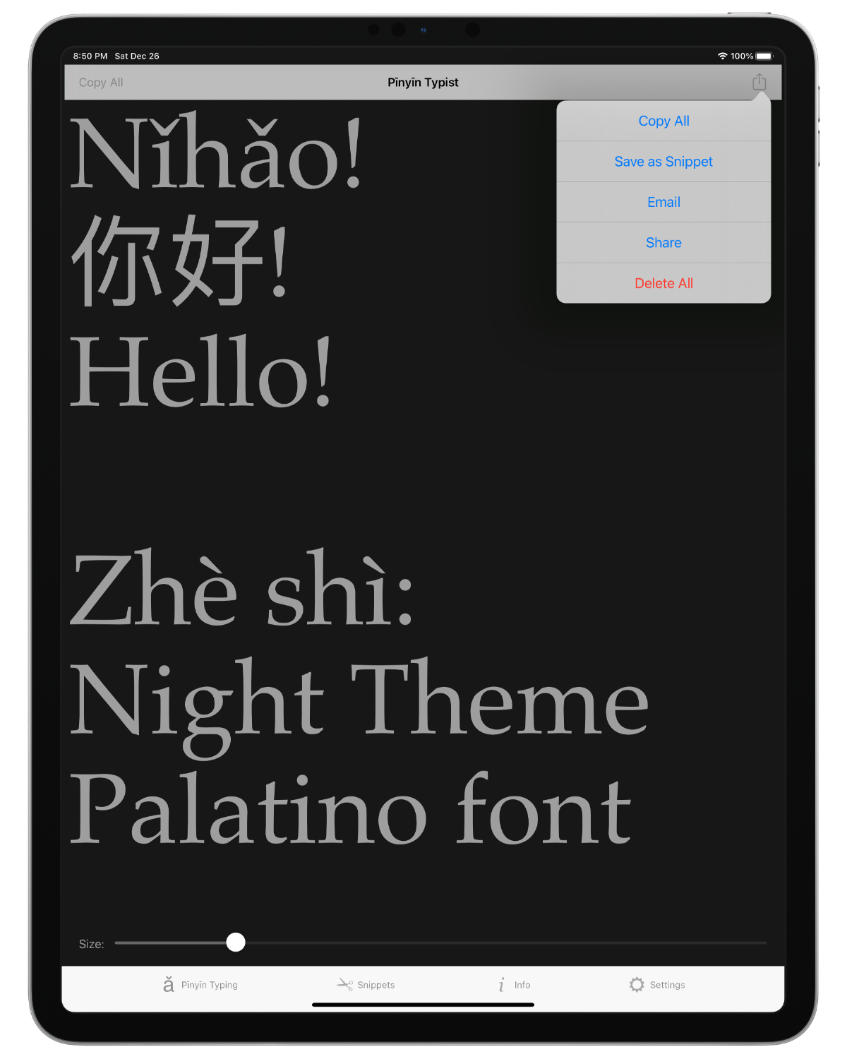 Screenshot: iPad; “Nǐhǎo” in Pīnyīn, characters, and English; Pīnyīn Typing tab view menu; Night Theme; Palatino font