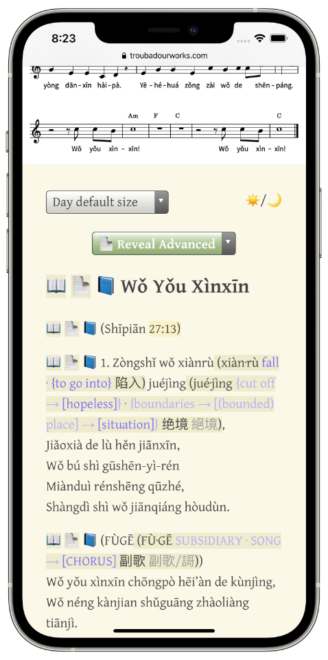 “Wǒ Yǒu Xìnxīn” _Pīnyīn_ Plus lyrics, on iPhone 12 Pro Max
