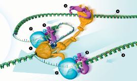 Question 3 4th picture