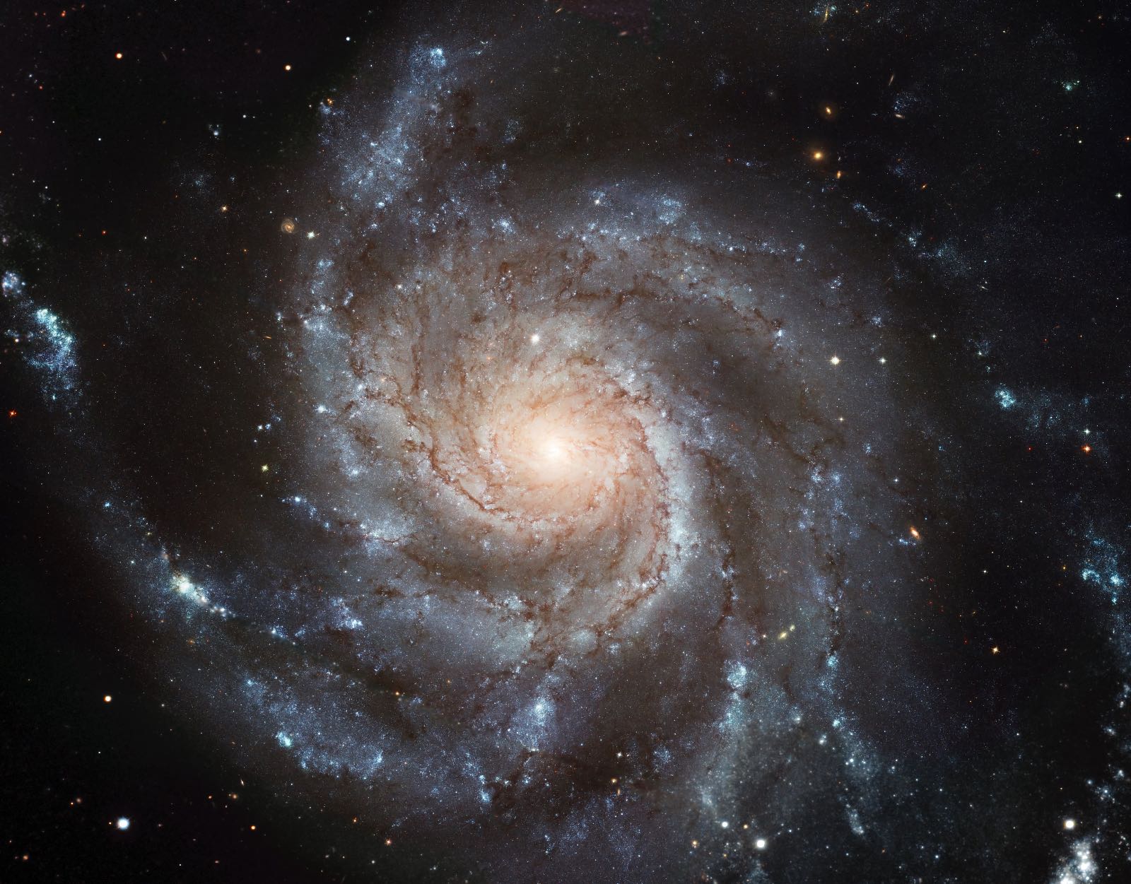 The Pinwheel Galaxy, another kind of xì