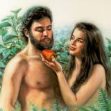 “Cultivating Faith in the Creator” 2nd picture
